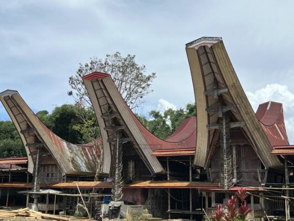 Image 3c Ceremonial Use of Textiles in Toraja